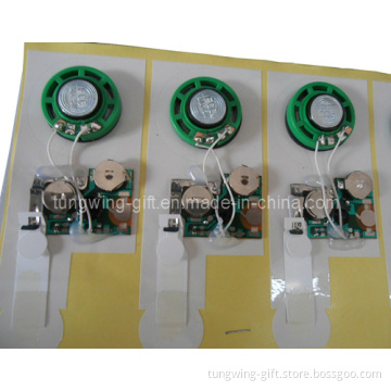 Greeting Card Sound Moudle
